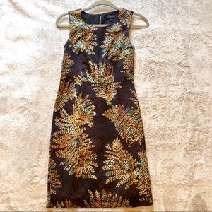 Beautiful Petite Shift Dress size 00